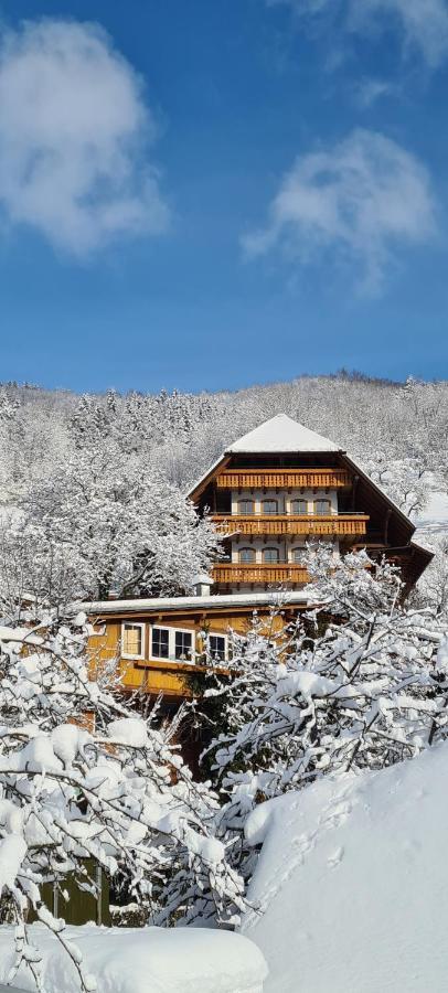 Ehrenmattlehof Faisst Aparthotel Bad Peterstal-Griesbach Kültér fotó