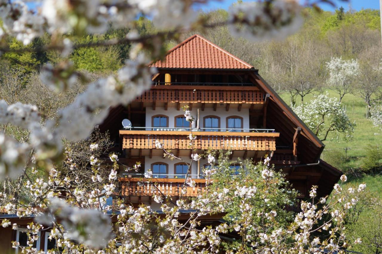 Ehrenmattlehof Faisst Aparthotel Bad Peterstal-Griesbach Kültér fotó