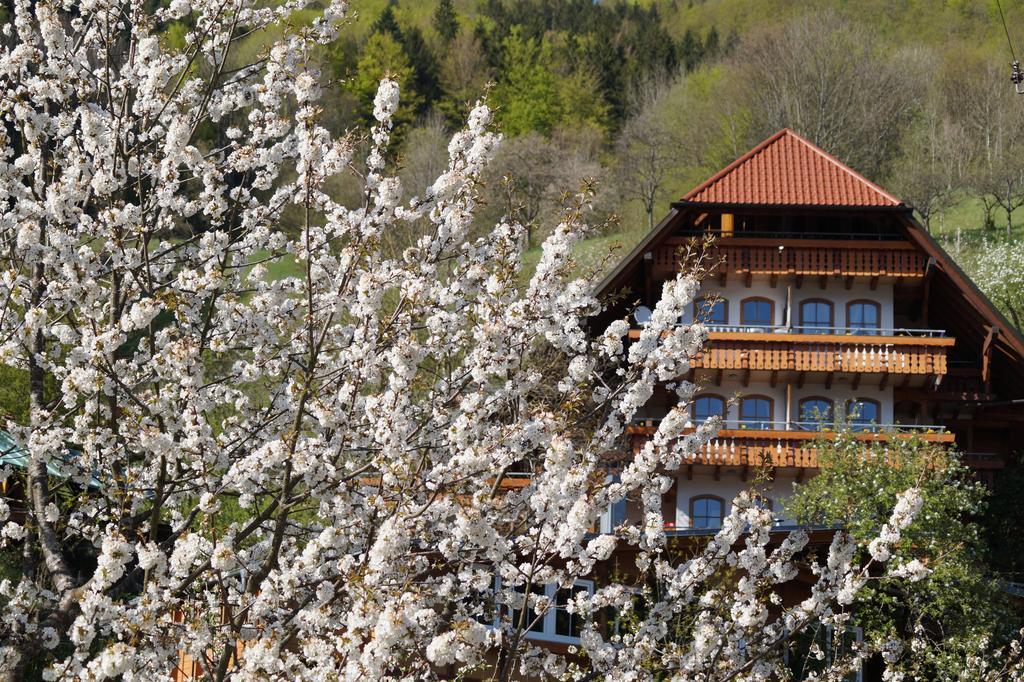 Ehrenmattlehof Faisst Aparthotel Bad Peterstal-Griesbach Szoba fotó