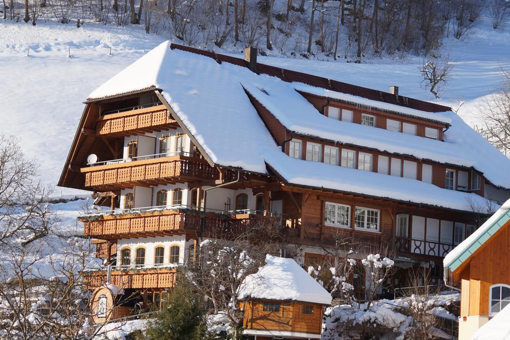 Ehrenmattlehof Faisst Aparthotel Bad Peterstal-Griesbach Kültér fotó