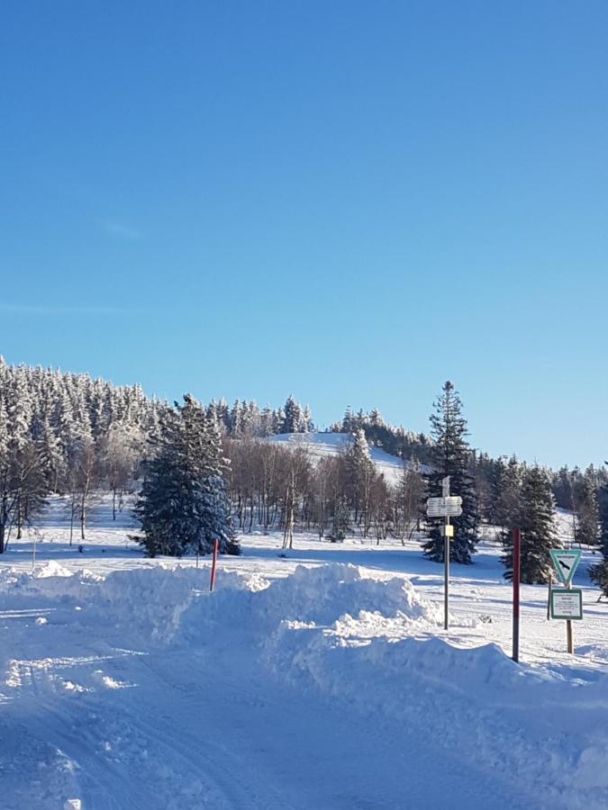 Ehrenmattlehof Faisst Aparthotel Bad Peterstal-Griesbach Kültér fotó