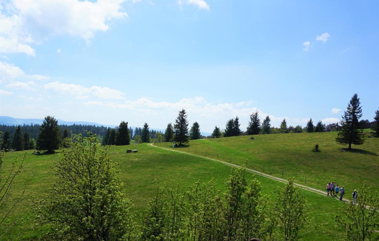 Ehrenmattlehof Faisst Aparthotel Bad Peterstal-Griesbach Kültér fotó