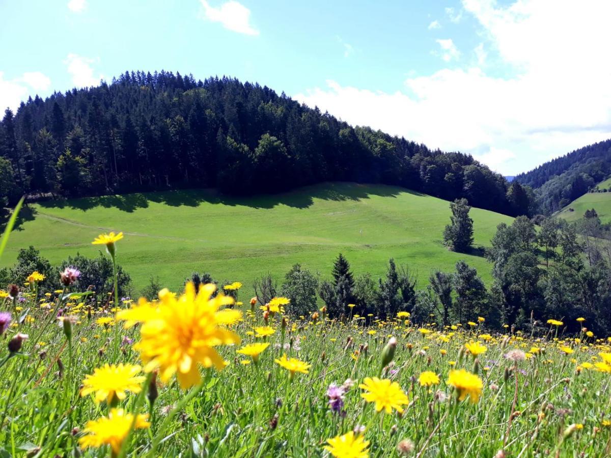 Ehrenmattlehof Faisst Aparthotel Bad Peterstal-Griesbach Kültér fotó