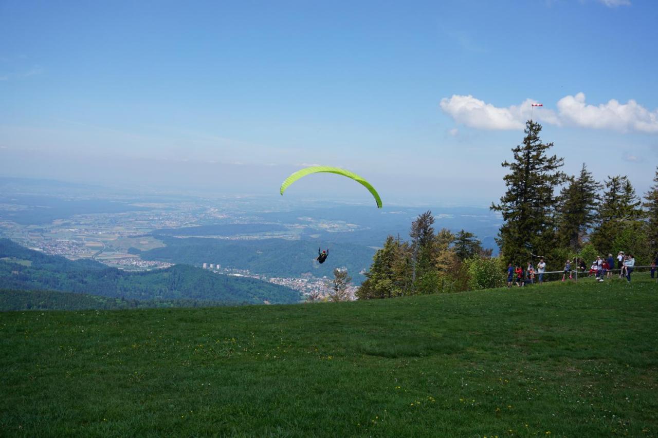 Ehrenmattlehof Faisst Aparthotel Bad Peterstal-Griesbach Kültér fotó